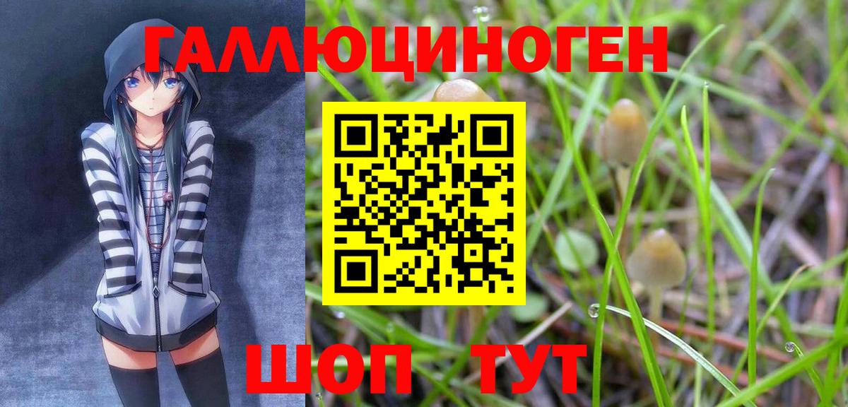 Галлюциногенные грибы Psilocybine cubensis Каменск-Уральский