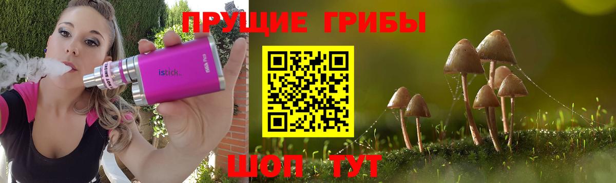 Галлюциногенные грибы прущие грибы  Вход с VPN  Каменск-Уральский 